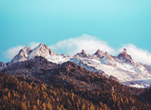 乐鱼体育登录-【直播】花海、Gemini组排被五分五十八秒速通